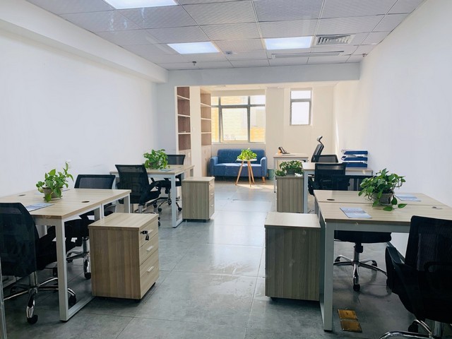 青浦酒店绿植租赁保养